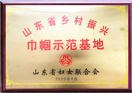 山东省乡村振兴巾帼示范基地