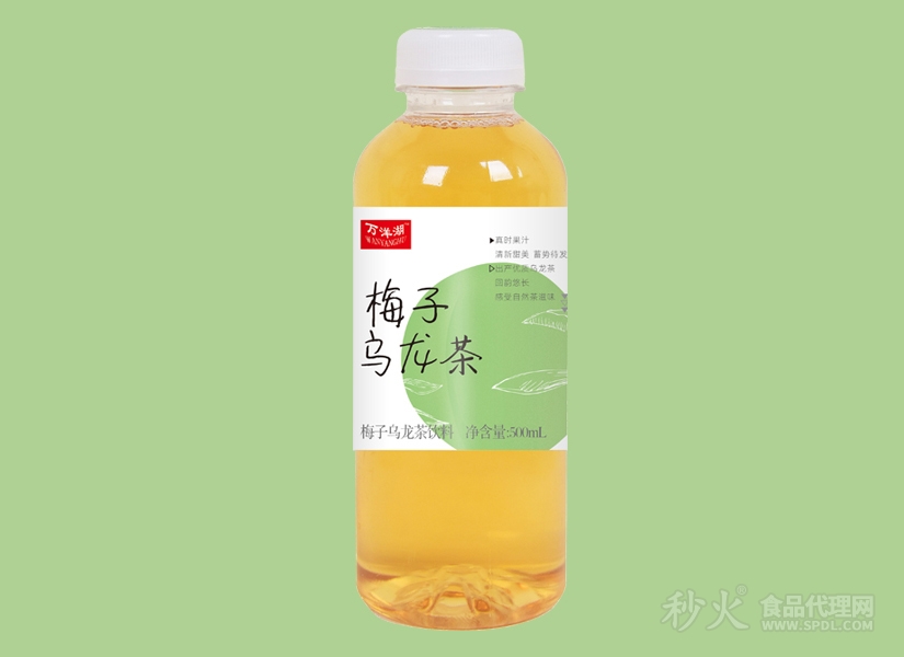 万洋湖梅子乌龙茶